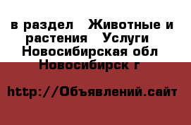  в раздел : Животные и растения » Услуги . Новосибирская обл.,Новосибирск г.